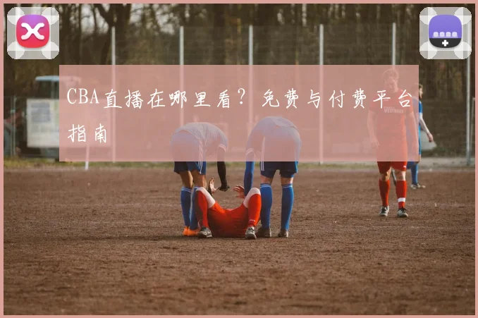 CBA直播在哪里看？免费与付费平台指南